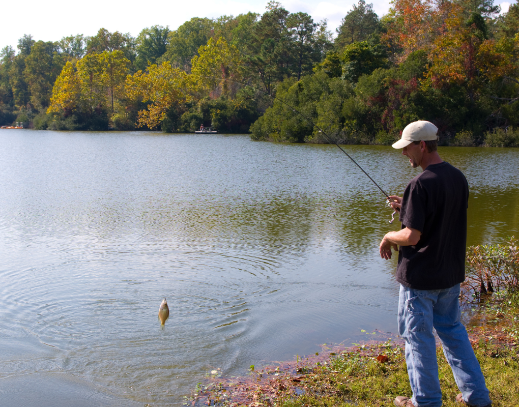Crappie Fishing Mastery: Your Comprehensive Guide